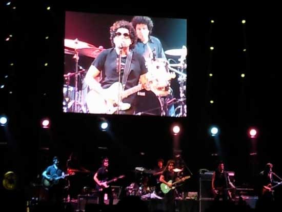 calamaro-1.jpg calamaro-1.jpg