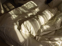 mucculosamente_cama.jpg mucculosamente_cama.jpg